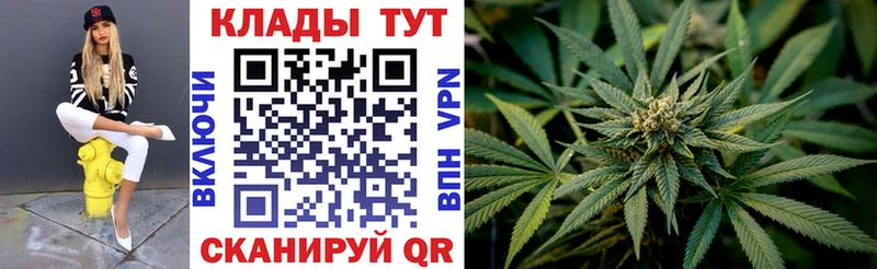 Где можно купить наркотики Отрадный ГАШИШ  Марихуана  СК  LSD-25  Меф мяу мяу 
