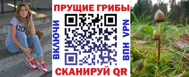 Псилоцибиновые грибы мицелий  mega онион  Отрадный  закладки 