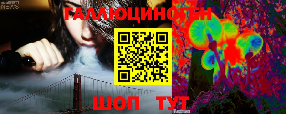Псилоцибиновые грибы Psilocybine cubensis Отрадный